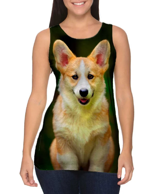 Pembroke Welsh Corgi Dog